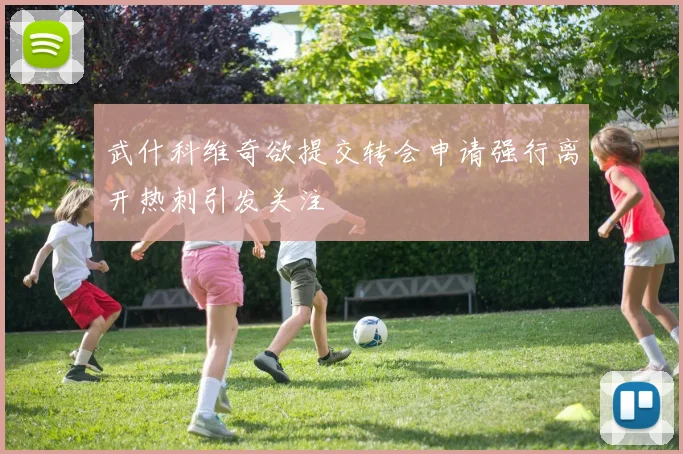 武什科维奇欲提交转会申请强行离开热刺引发关注